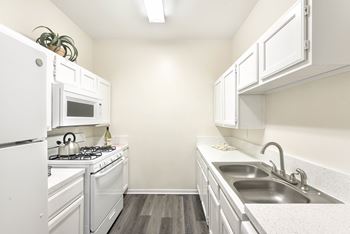 Gourmet kitchen